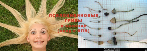 спайс Покачи