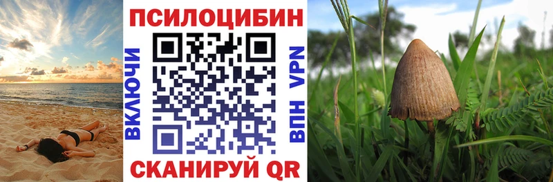 Псилоцибиновые грибы ЛСД  Суоярви 
